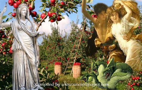 The Apple's Connection to Love Magic and Attracting Romance